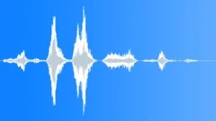 Young teenager laughingSound Effect