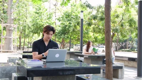 Young Thai Student Using Laptop and Smartphone on University Campus Stock Footage 337867009