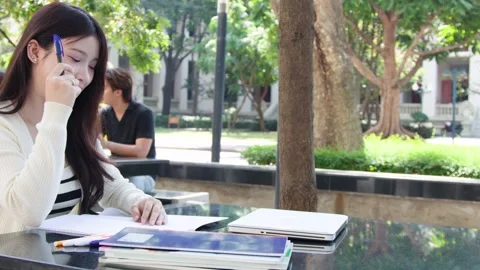 Young Thai University Student Studying with Laptop and Textbook Outdoors Stock Footage 335500479