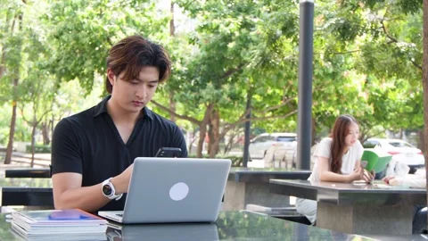Young Thai University Student Using Laptop and Smartphone on Campus Stock Footage 335617131