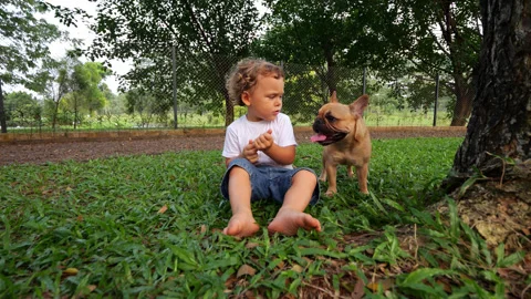 Young thoughtful boy sit on grass, panting dog come to sit near Stock Footage 310528784