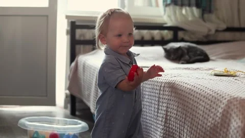 A young toddler playing with a red toy while a grey cat rests on a bed in a Stock Footage 345643269