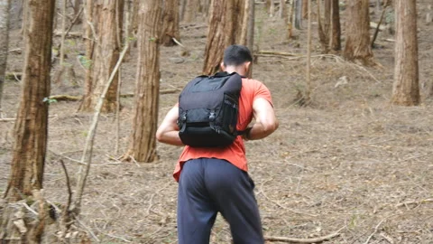 Young tourist with backpack walking in the forest. Man going through the wood Stock-Footage 299216052