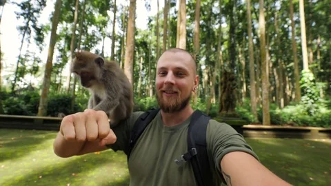 Young Tourist Making Selfie Video with Small Wild Funny Monkey in Tropical Stock Footage 85346626