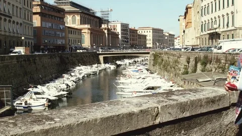 Young tourist man exploring map Stock Footage 80303603