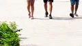 Young tourists stroll together around city on bright summer day, walking tours HD Footage