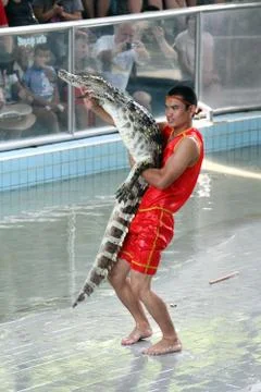 Young trainer of crocodiles Stock Photos