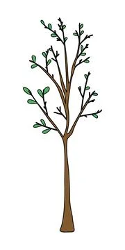 Young tree with leaves or tree seedling, flat style vector Illustration
