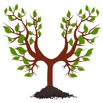 Young tree with roots in pile of soil isolated on white. Symmetrical tree trunk Stock Illustration