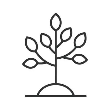 Young tree sapling growth icon in line design Stock Illustration