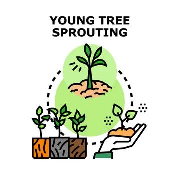 Young tree sprouting growth cultivating ecology concept Stock Illustration
