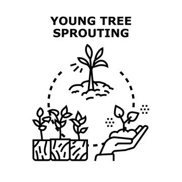 Young tree sprouting growth cultivating ecology concept Ilustración de archivo
