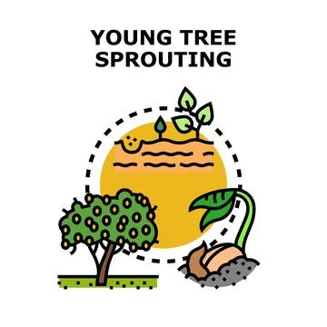 Young tree sprouting growth process stages icon Stock Illustration