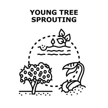 Young tree sprouting growth process stages icon Stock Illustration