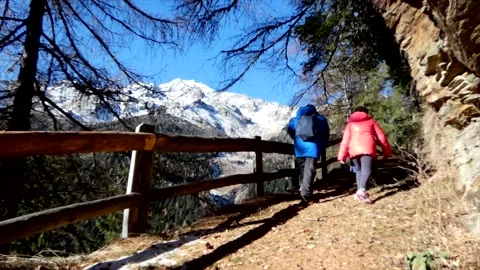 Young trekkers Stock Footage 223850484