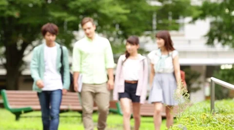 Young university students walking in a small park at the campus Stock Footage 51138367