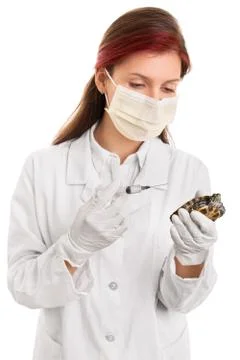 Young veterinarian examining a pet turtle Stock-Fotos