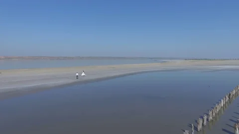 Young wedding couple bride and groom walking in arm in wedding dress, with white Stock Footage 129623907