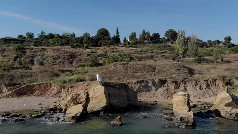 Young wedding couple is standing on the edge of a cliff against the backdrop Stock Footage 129305565