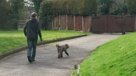 Young white man in hooded jacket walks on lead a labradoodle dog to grass Stock Footage 87864620