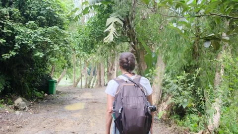 Young woman alone exploring walking on trail in tropical jungle Stock Footage 252036101