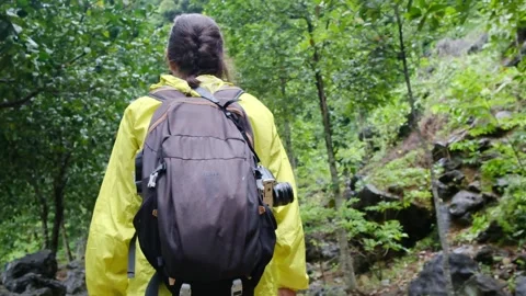 Young woman alone exploring walking on trail in tropical jungle Stock Footage 252036155