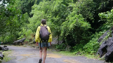 Young woman alone exploring walking on trail in tropical jungle Stock Footage 252036171