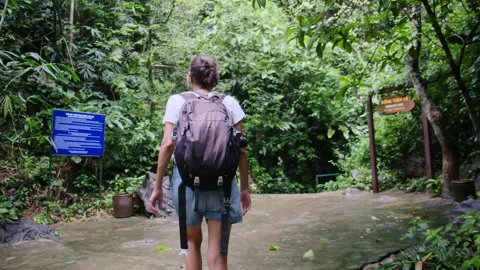 Young woman alone exploring walking on trail in tropical jungle Stock Footage 252036666