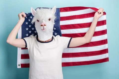 Young woman in alpaca mask hold and wave USA US United States flag Stock Photos