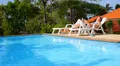 Young Woman and Funny Dog Sunbathing and Relaxing Together at Swimming Pool. HD Footage