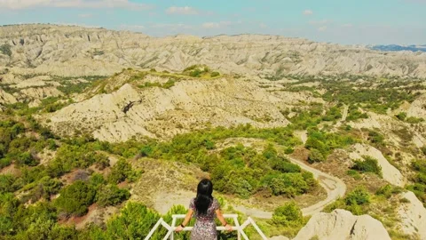 Young woman back view looking at the horizon standing on viewpoint with sceni Stock-Footage 157655384