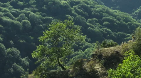 Young woman with backpack standing on cliff's edge with raised hands and looking Stock Footage 54648357