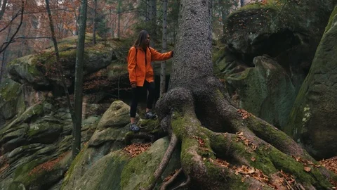 Young woman with backpack walk stand near tree look around in forest rocks Stock Footage