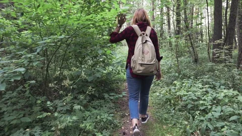 A young woman with a backpack is walking the path at the forest. Stock-Footage 94070842