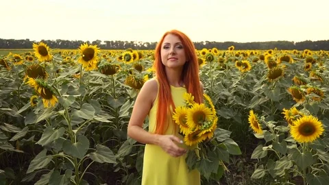 Young woman bobbing up in field of sunflowers, slow motion Stock Footage