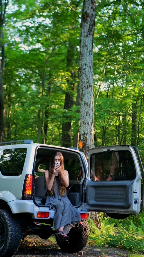 Young woman browsing a smartphone while traveling in an SUV... Video stock 340291004