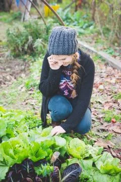 Young woman crouching in vegetable patch checking lettuce, using cellular phone Fotos de archivo