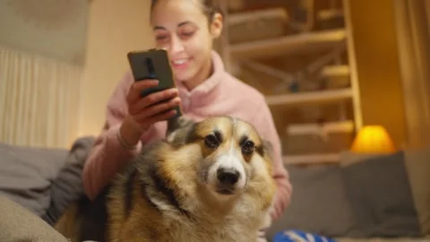 young woman dog owner sitting on couch Stock Video Pond5