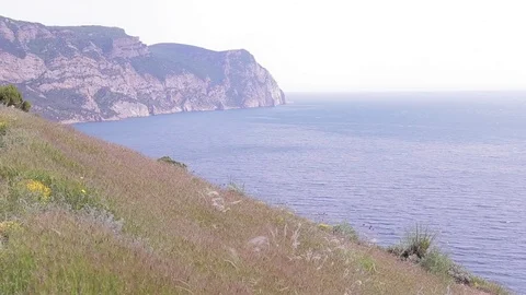 Young woman at dree going down the hill, sea view, windy day. Stock-Footage 76088459