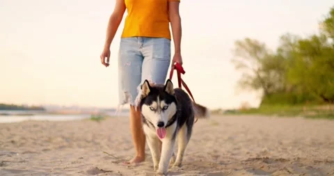 Young woman enjoying evening walk with Stock Video Pond5