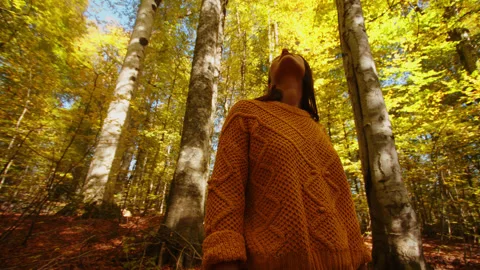 Young woman is exploring the scenic tree crowns in forest of caucasian mountain Stock Footage 204052575