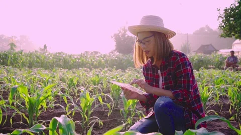 Young woman farmer . Stock Footage 120071653