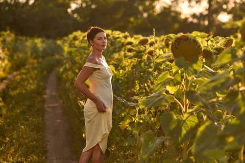 Young woman in a field of sunflowers at sunset Stock Photos