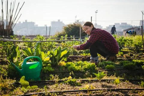 Young woman gardening in urban garden Stock Photos