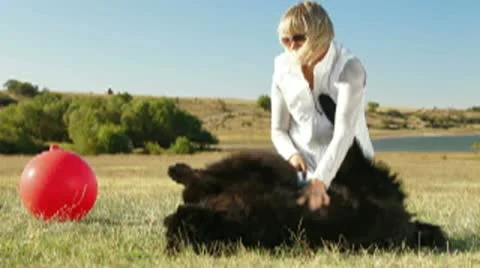Young Woman Having Fun With Their Dogs Outdoor Stock Footage