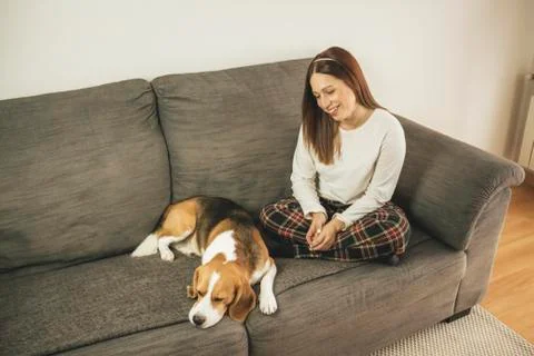 Young woman with her dog at home coach Stock Photos