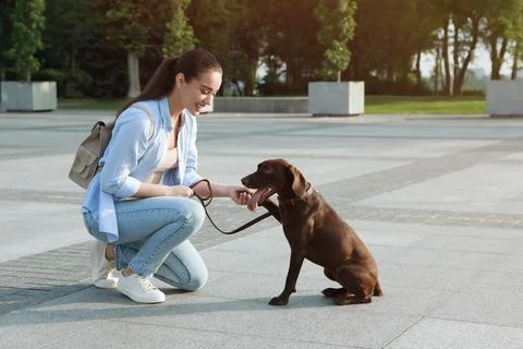 Young woman with her German Shorthaired Pointer dog on city street Stock Photos
