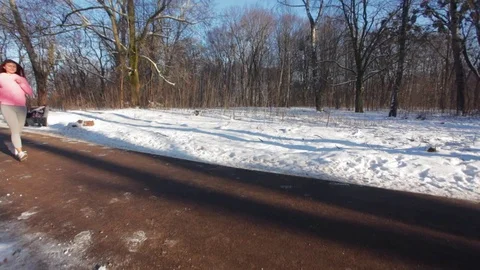 Young woman jogging in the wintry forest Stock Footage 72139343
