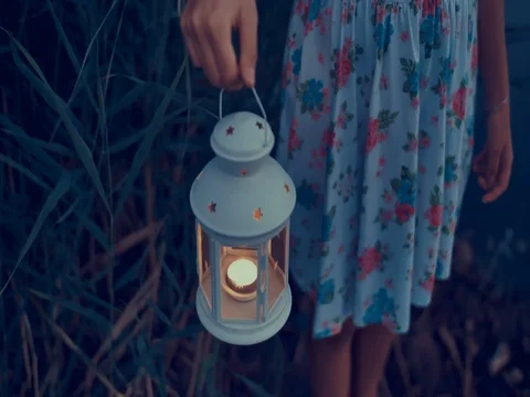 Young woman with lantern exploring in nature Stock Footage 79596136