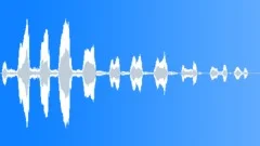 Young woman long laughterSound Effect